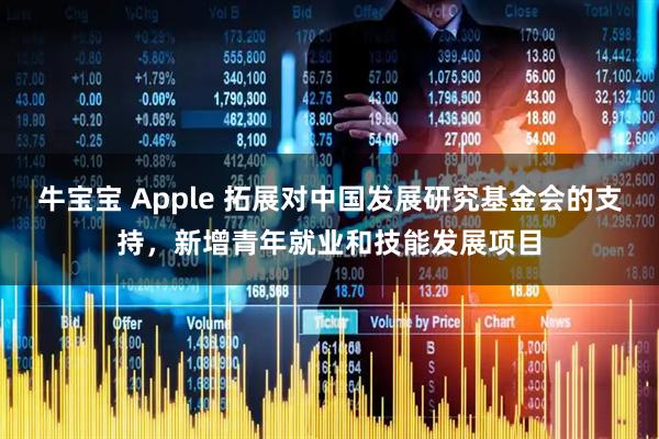 牛宝宝 Apple 拓展对中国发展研究基金会的支持，新增青年就业和技能发展项目